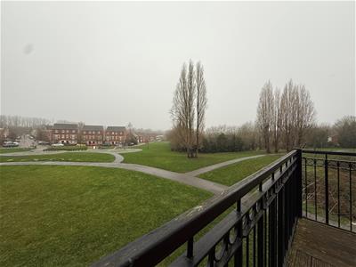 Picture 13